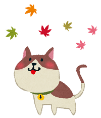 kouyou_cat.png